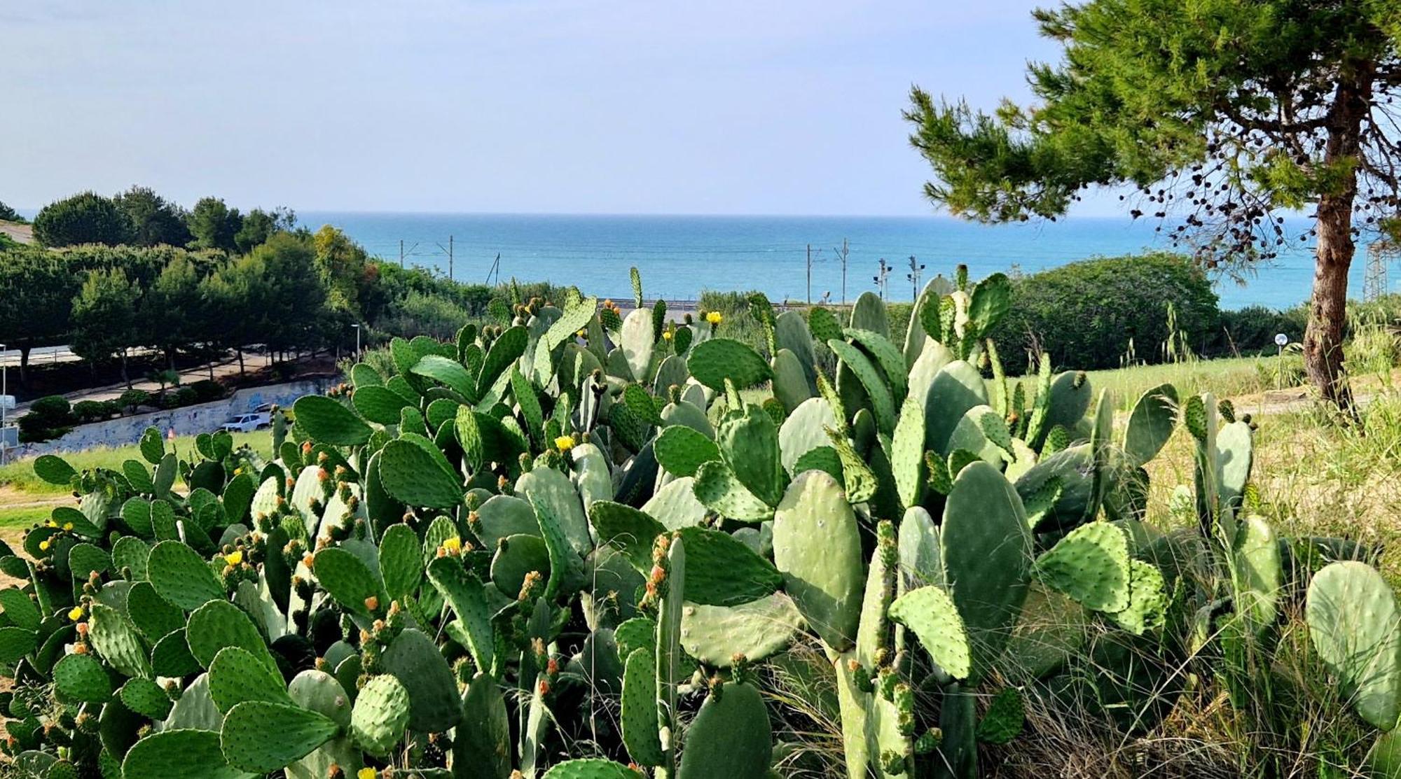 Via Del Mare Villa Termoli Exterior photo
